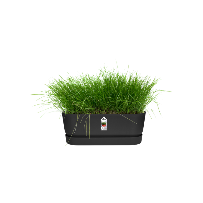 greenville pflanzgefäß lang 50cm living schwarz